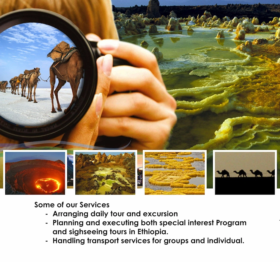 Our Tours